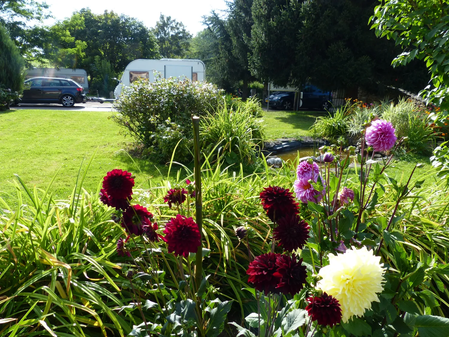 camping-hautoreille-bannes-phdto
