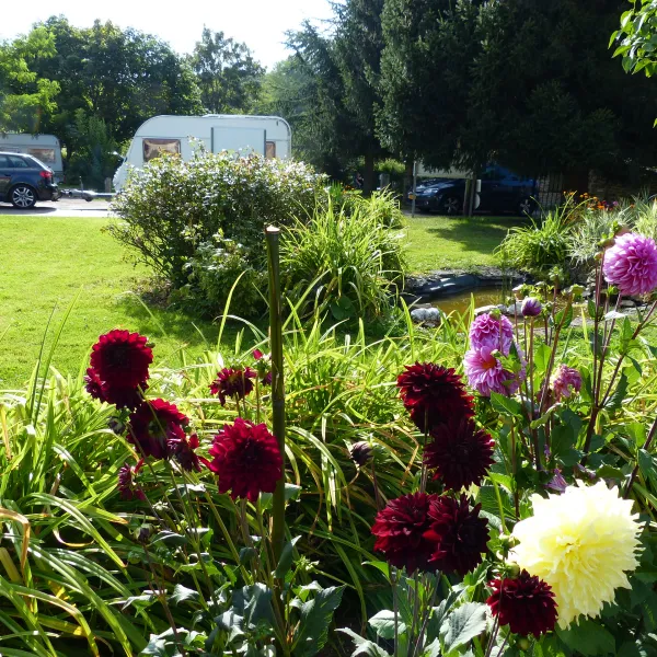 camping-hautoreille-bannes-phdto
