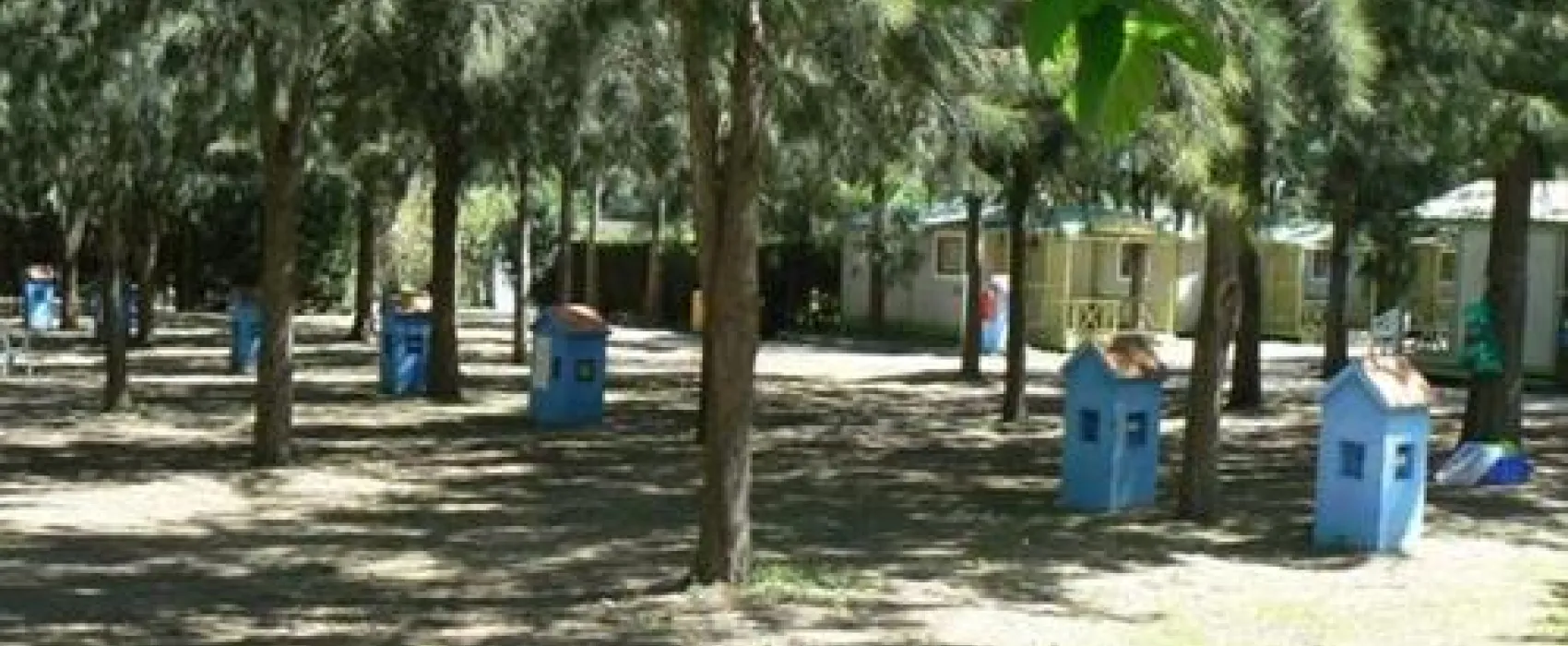 Camping Paloma