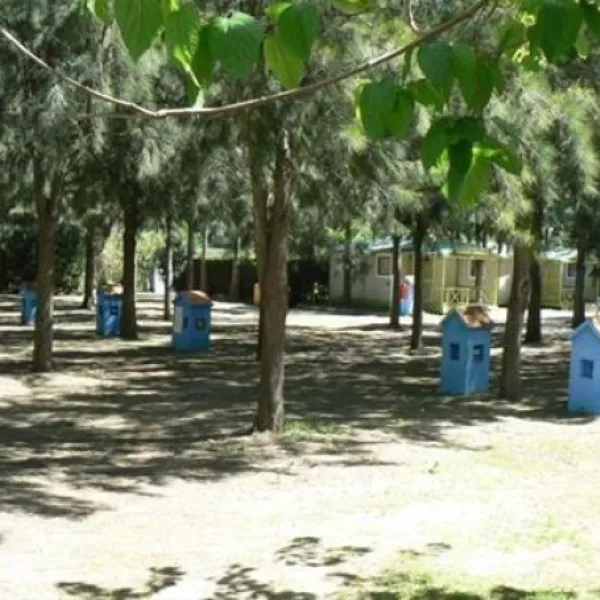 camping-paloma-tarifa-3fz3c