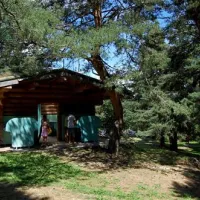 Rondin Des Bois  