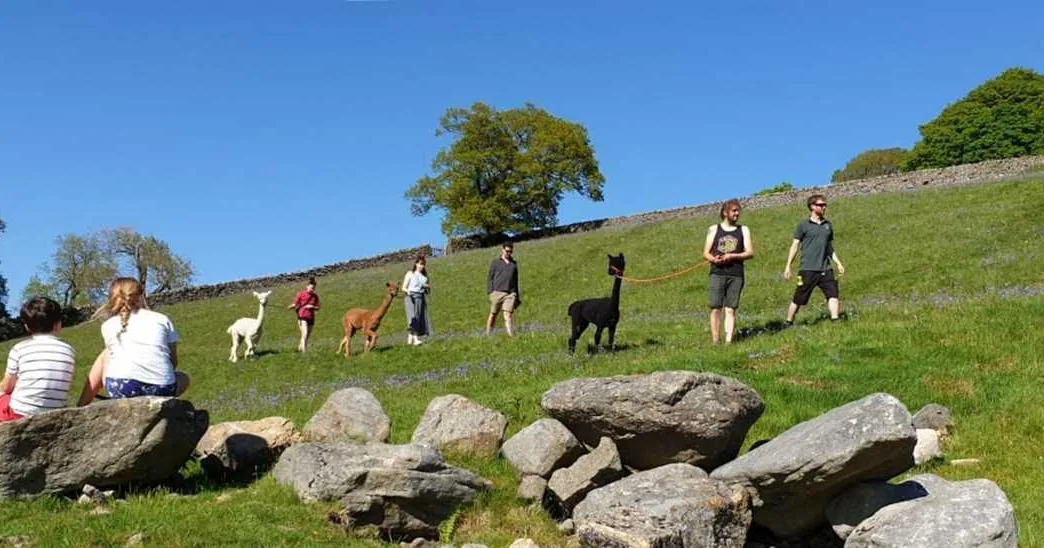 howgill-lodge-barden-skipton-7ikqe