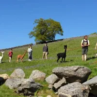 howgill-lodge-barden-skipton-7ikqe