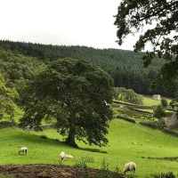 howgill-lodge-barden-skipton-qjhsl