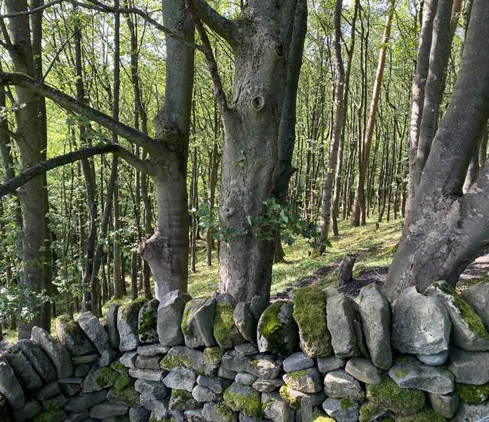 howgill-lodge-barden-skipton-tn0ft