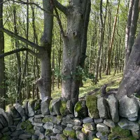howgill-lodge-barden-skipton-tn0ft