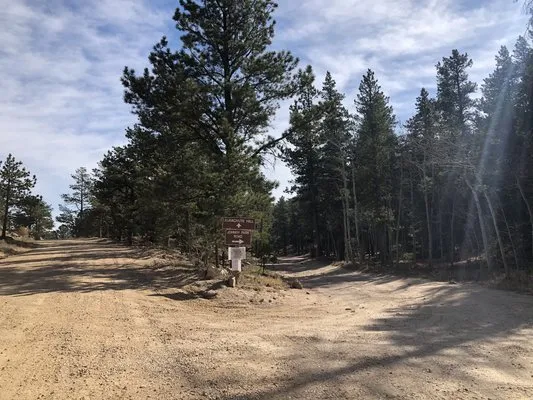 johnny-park-road-dispersed-camping-allenspark-doqdy