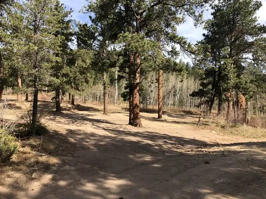 johnny-park-road-dispersed-camping-allenspark-xrsev