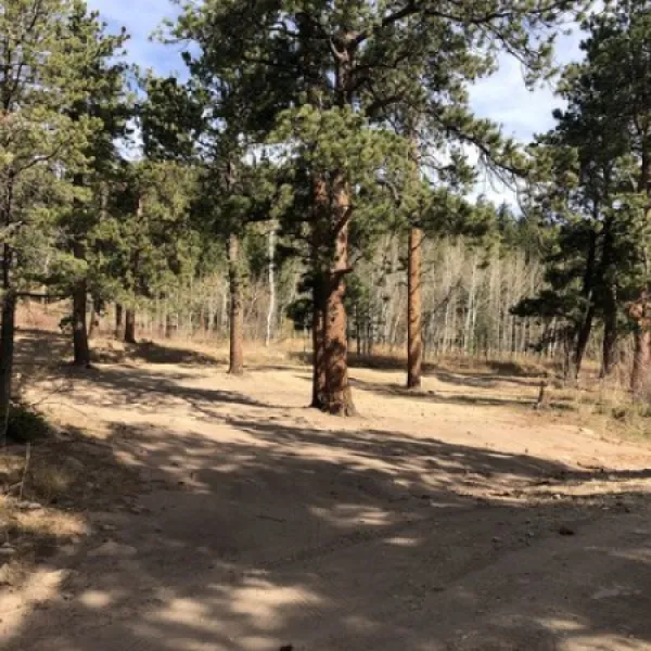johnny-park-road-dispersed-camping-allenspark-xrsev