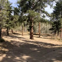 johnny-park-road-dispersed-camping-allenspark-xrsev