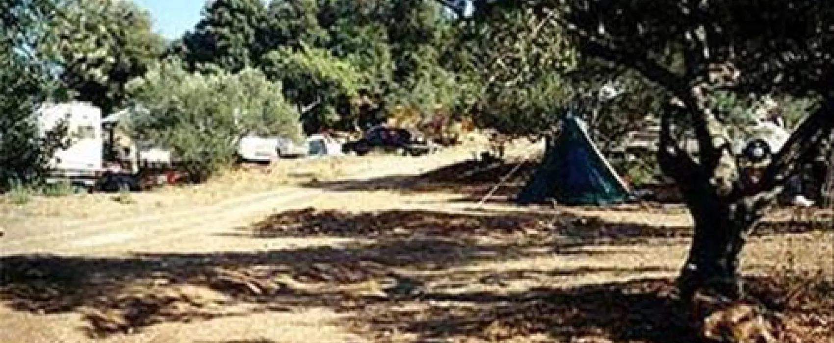 Mini-camping Tomas
