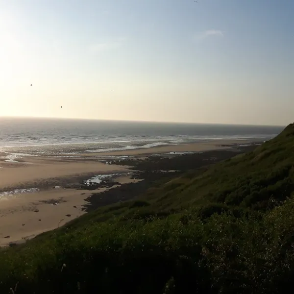 camping-municipal-la-falaise-equihen-plage-haufa