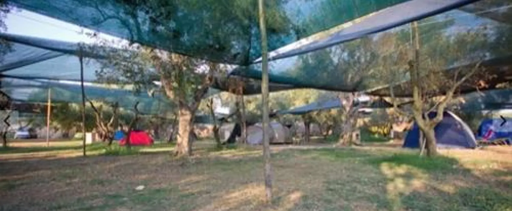 Agricamping Darwin