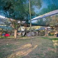 agricamping-darwin-pozzellootranto-qmzdh