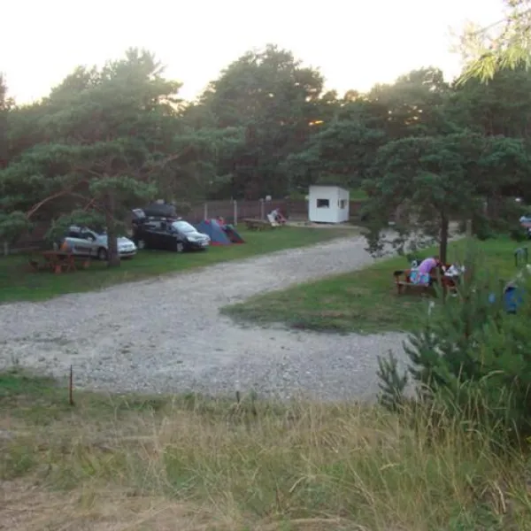 camping-kalnapriedes-lapmezciems-7wf1d