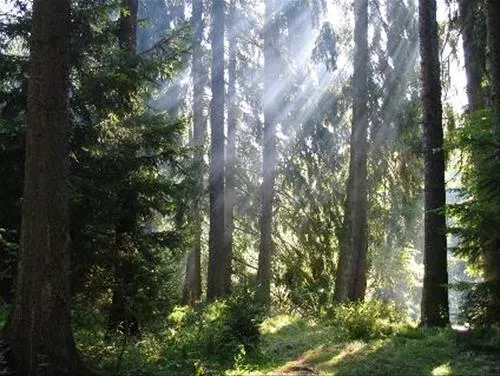 tipicamp-rocky-mountain-felsbergneuenbrunslar-zzt3e