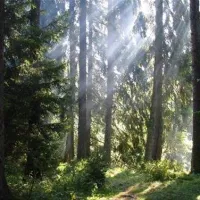 tipicamp-rocky-mountain-felsbergneuenbrunslar-zzt3e