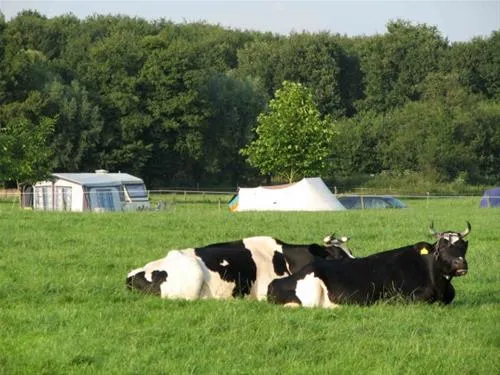 de-mebel-de-heurne-gnzaw