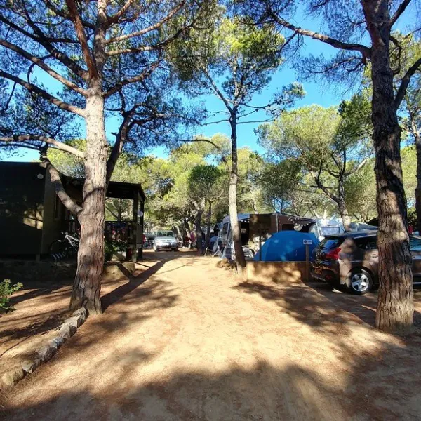 camping-la-siesta-calella-de-palafrugell-fqu6m