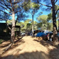 camping-la-siesta-calella-de-palafrugell-fqu6m