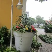 50plus-campingpark-fisching-weisskirchen-mfw1j