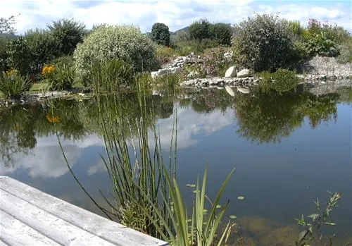 50plus-campingpark-fisching-weisskirchen-nnhne