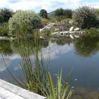50plus-campingpark-fisching-weisskirchen-nnhne