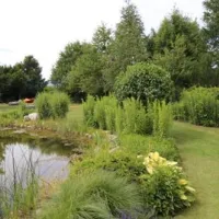 50plus-campingpark-fisching-weisskirchen-ys4fj