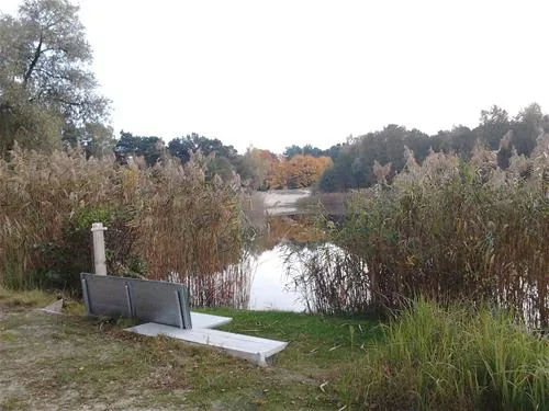 naturcamping-kiessee-bestensee-31fw5