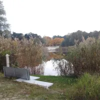 naturcamping-kiessee-bestensee-31fw5