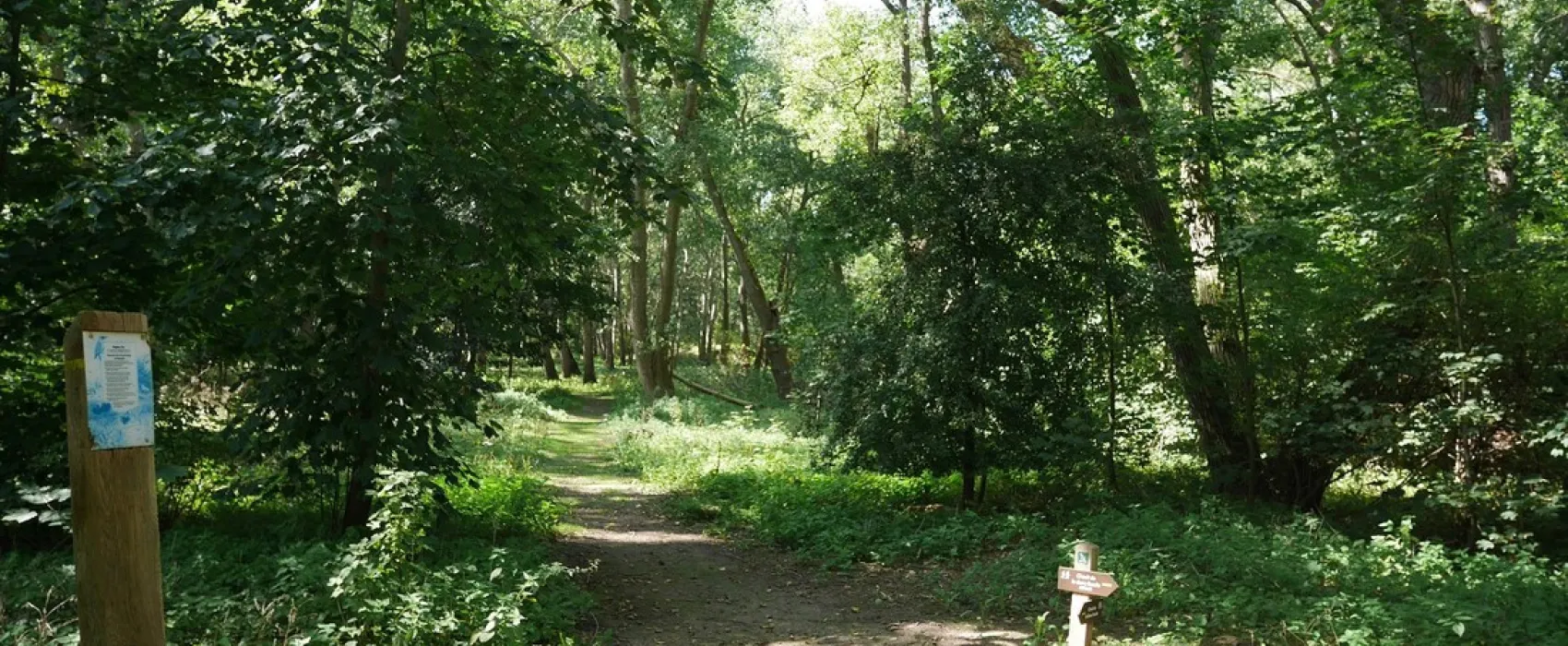 Camping des Pins