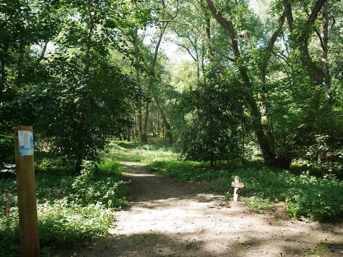 camping-des-pins-ghyvelde-0ixzb