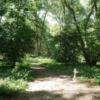 camping-des-pins-ghyvelde-0ixzb