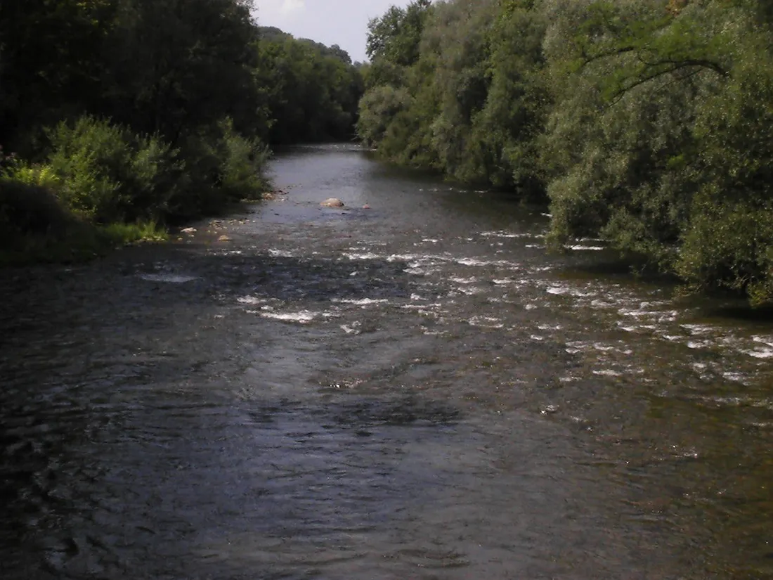 gutshof-camping-badhtten-tettnang-sschr