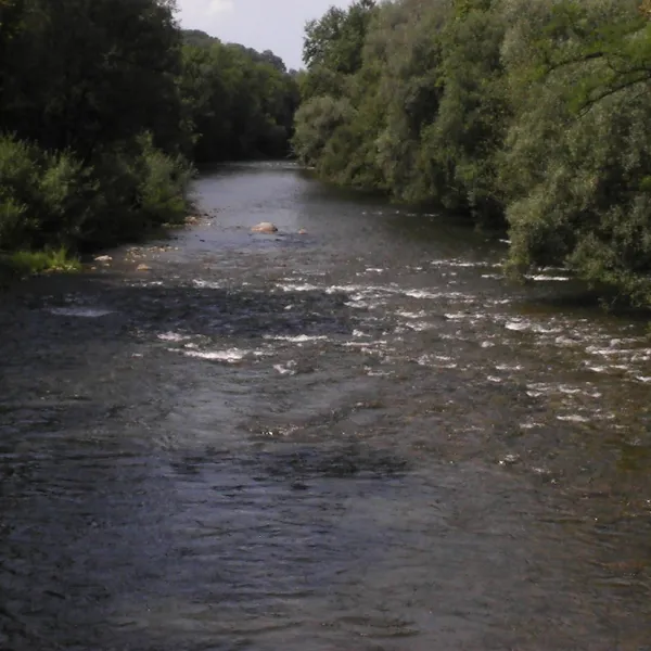 gutshof-camping-badhtten-tettnang-sschr