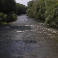 gutshof-camping-badhtten-tettnang-sschr