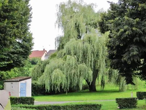 camping-et-villagechalets-du-breuil-bourbon-lancy-wxjj4