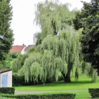 camping-et-villagechalets-du-breuil-bourbon-lancy-wxjj4