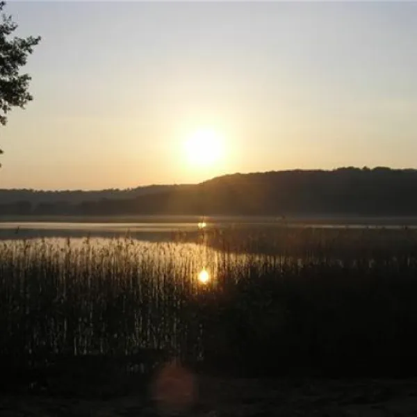 camping-am-bauernhof-feldberger-seenlandschaft-cwn1n
