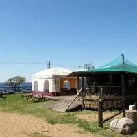 krimalnieki-tuja-cn33i