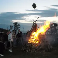 krimalnieki-tuja-crrjm
