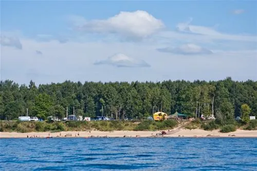 krimalnieki-tuja-falll