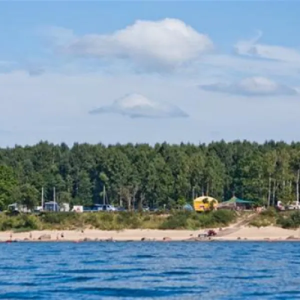 krimalnieki-tuja-falll