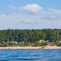 krimalnieki-tuja-falll
