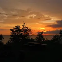 krimalnieki-tuja-g5iai