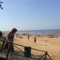 krimalnieki-tuja-kepzn