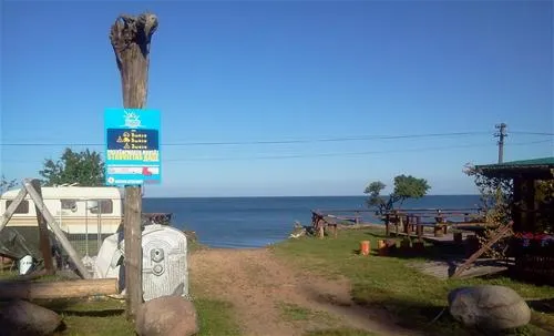 krimalnieki-tuja-mcyyg