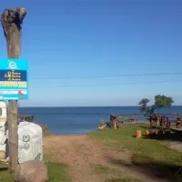 krimalnieki-tuja-mcyyg
