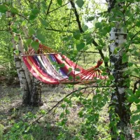 camping-bereg-maloe-ukleyno-guurr