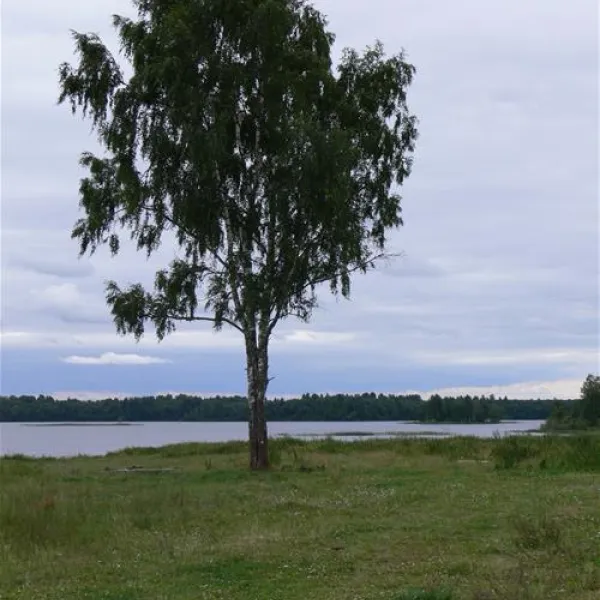 camping-bereg-maloe-ukleyno-rzfxo